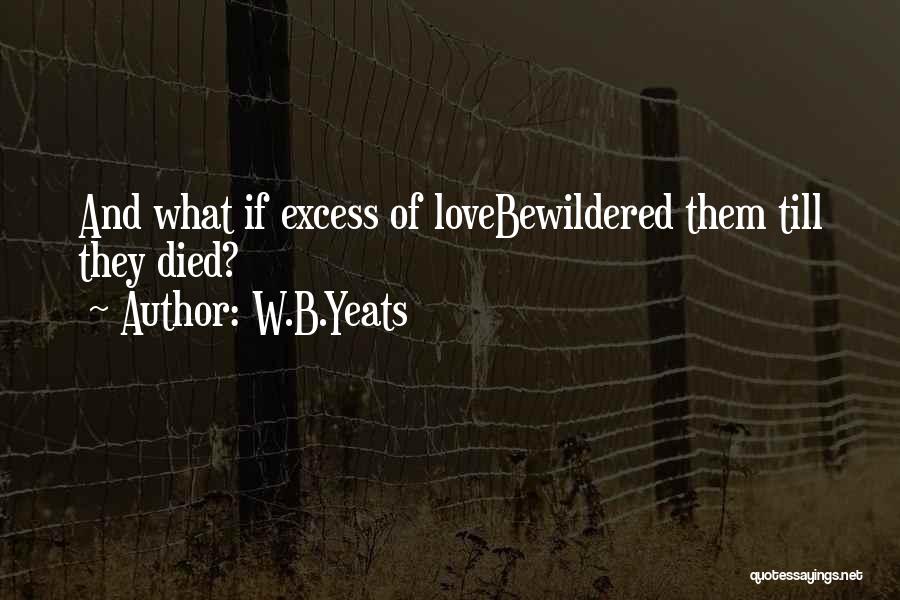 Excess Of Love Quotes By W.B.Yeats