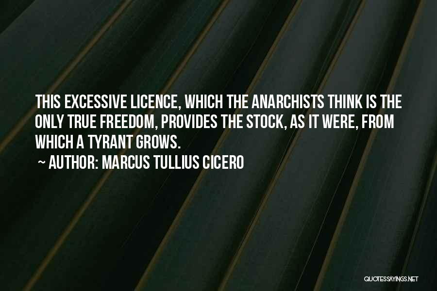 Excessive Thinking Quotes By Marcus Tullius Cicero