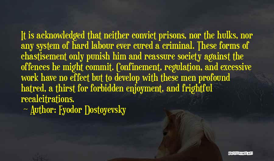 Excessive Work Quotes By Fyodor Dostoyevsky