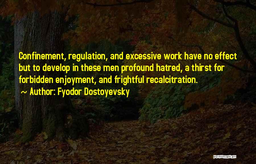 Excessive Work Quotes By Fyodor Dostoyevsky