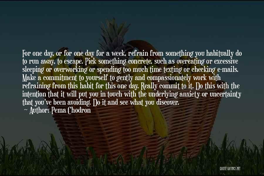 Excessive Work Quotes By Pema Chodron