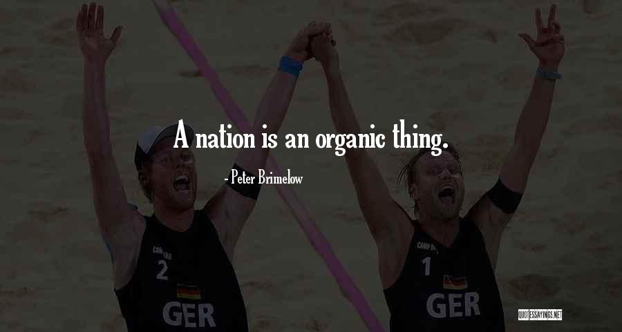 Excessivo Significado Quotes By Peter Brimelow Excessivo Significado Quotes By Peter Brimelow