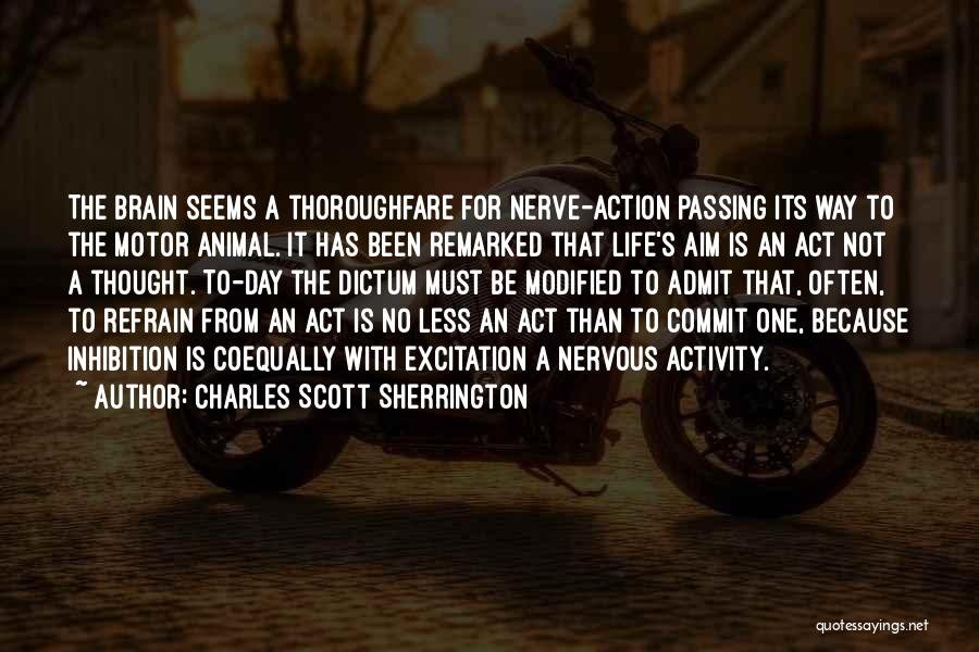 Excitation Quotes By Charles Scott Sherrington