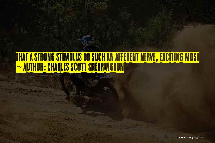 Excitation Quotes By Charles Scott Sherrington