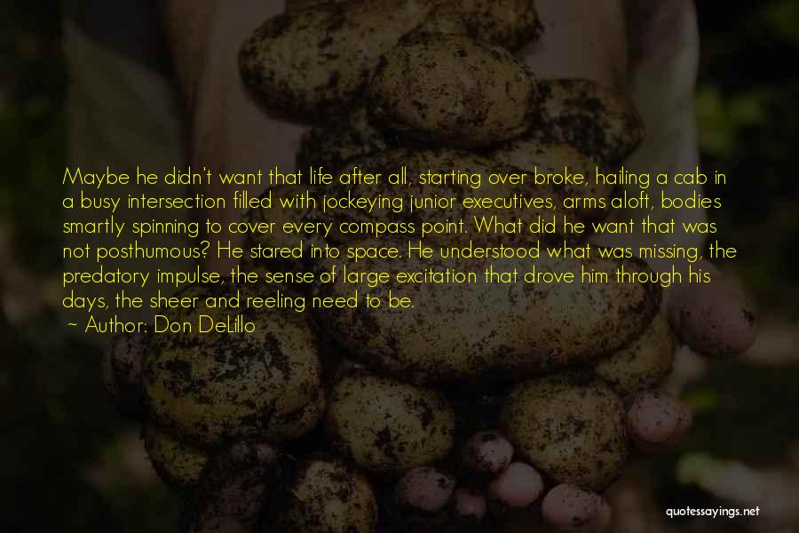 Excitation Quotes By Don DeLillo