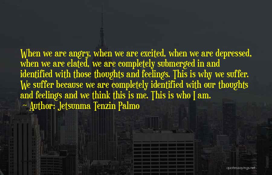 Excited Feelings Quotes By Jetsunma Tenzin Palmo