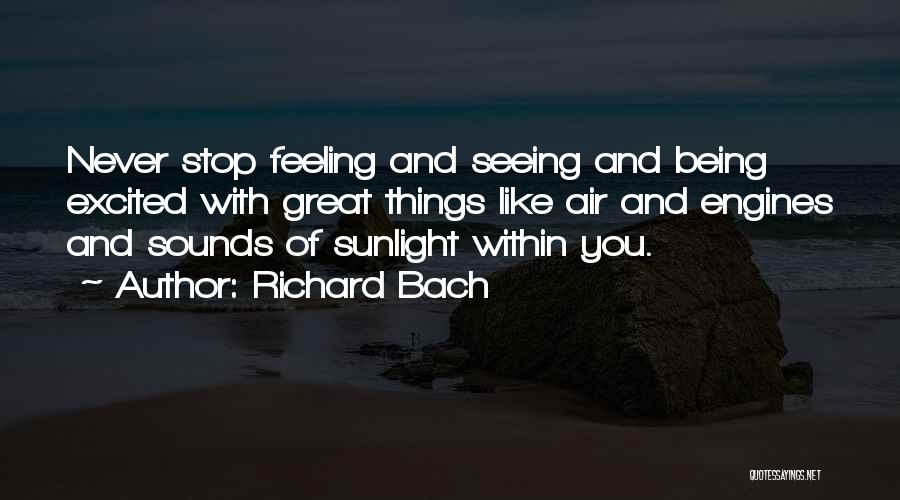 Excited Feelings Quotes By Richard Bach