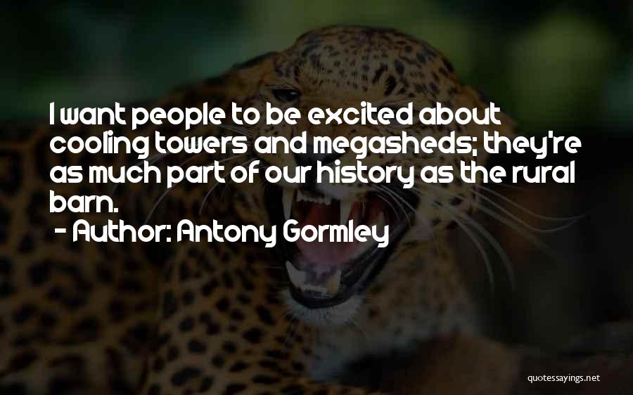 Excited Much Quotes By Antony Gormley