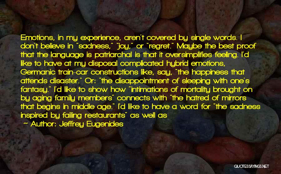 Excitement And Disappointment Quotes By Jeffrey Eugenides