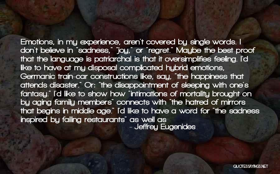 Excitement And Happiness Quotes By Jeffrey Eugenides