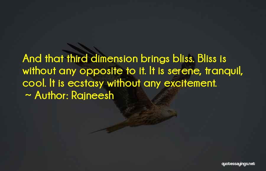 Excitement And Happiness Quotes By Rajneesh