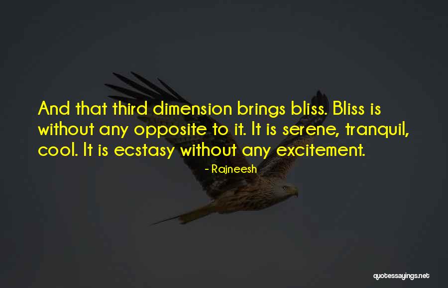 Excitement And Happiness Quotes By Rajneesh Excitement And Happiness Quotes By Rajneesh