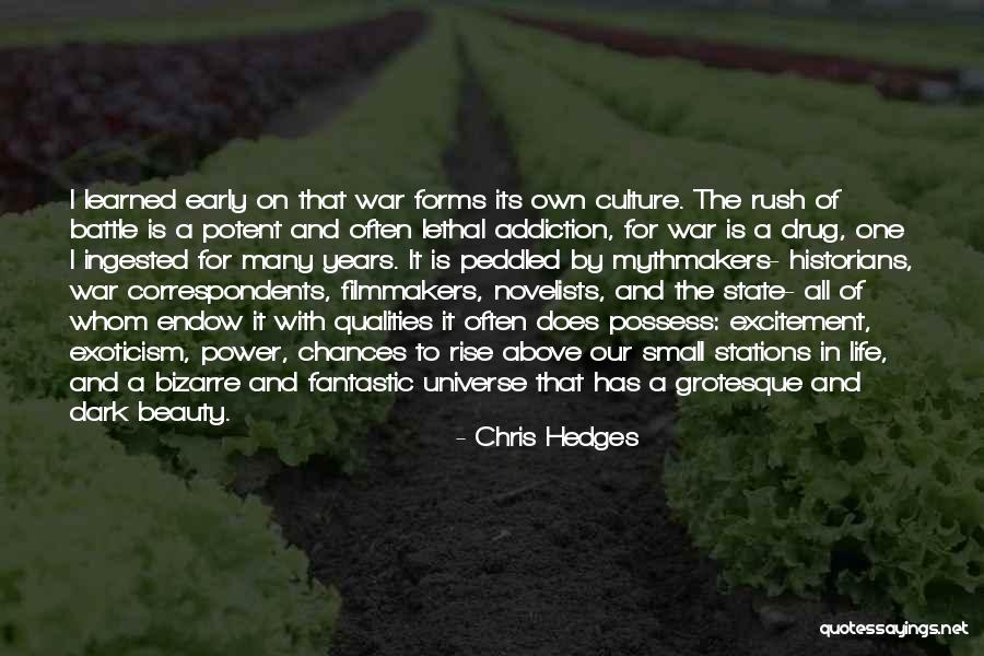 Excitement For Life Quotes By Chris Hedges