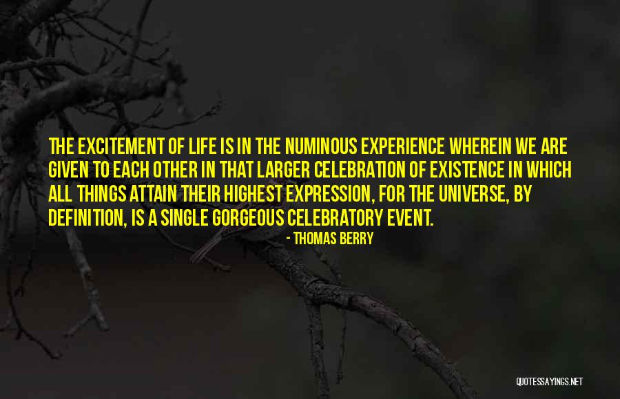 Excitement For Life Quotes By Thomas Berry Excitement For Life Quotes By Thomas Berry