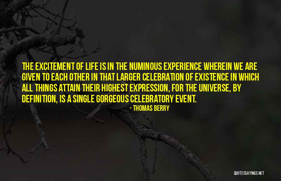 Excitement For Life Quotes By Thomas Berry