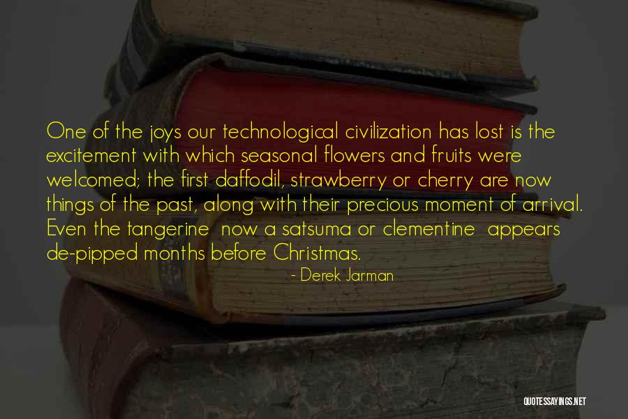 Excitement Quotes By Derek Jarman Excitement Quotes By Derek Jarman