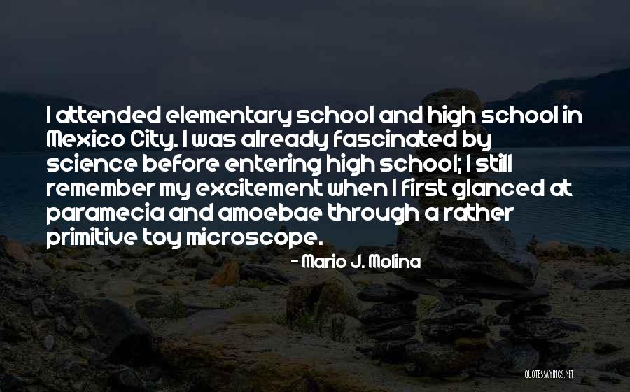 Excitement Quotes By Mario J. Molina Excitement Quotes By Mario J. Molina