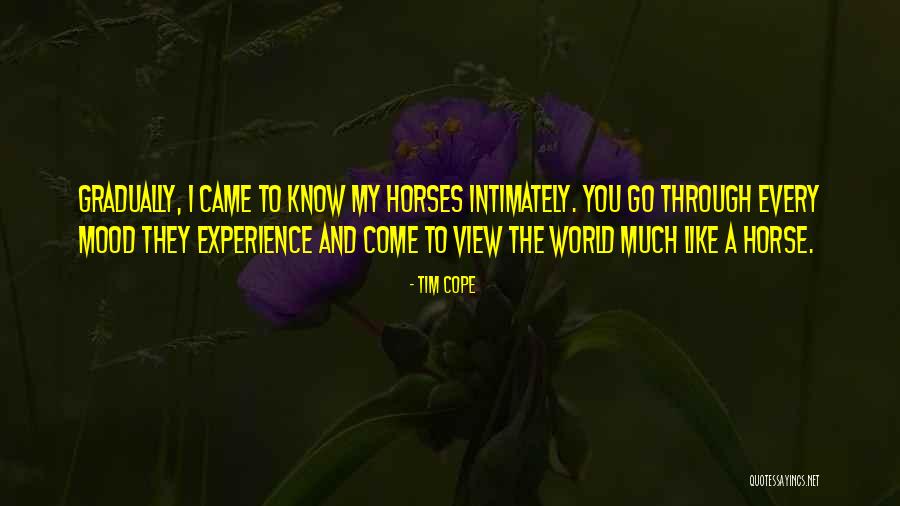 Exclusiva Magazine Quotes By Tim Cope Exclusiva Magazine Quotes By Tim Cope