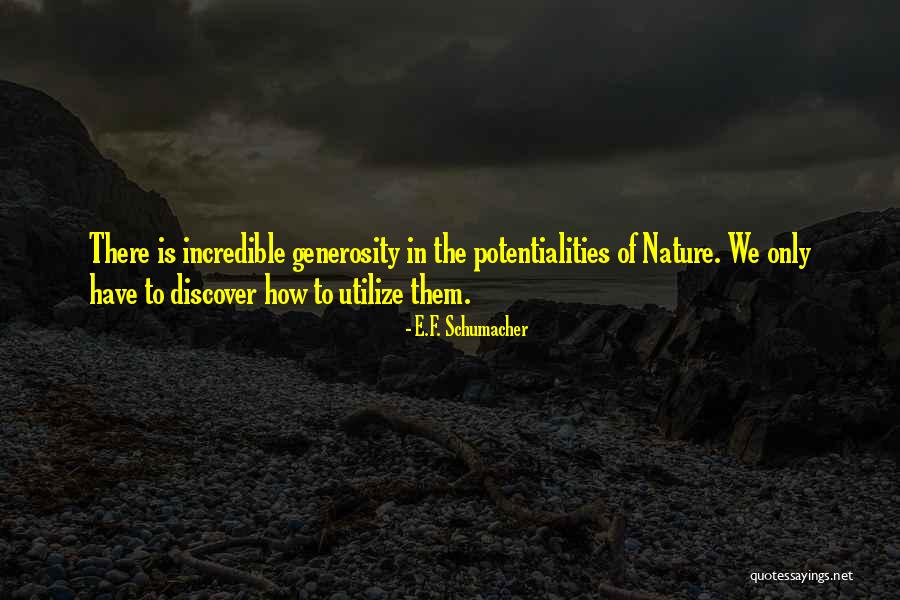 Excursions In Oahu Quotes By E.F. Schumacher Excursions In Oahu Quotes By E.F. Schumacher