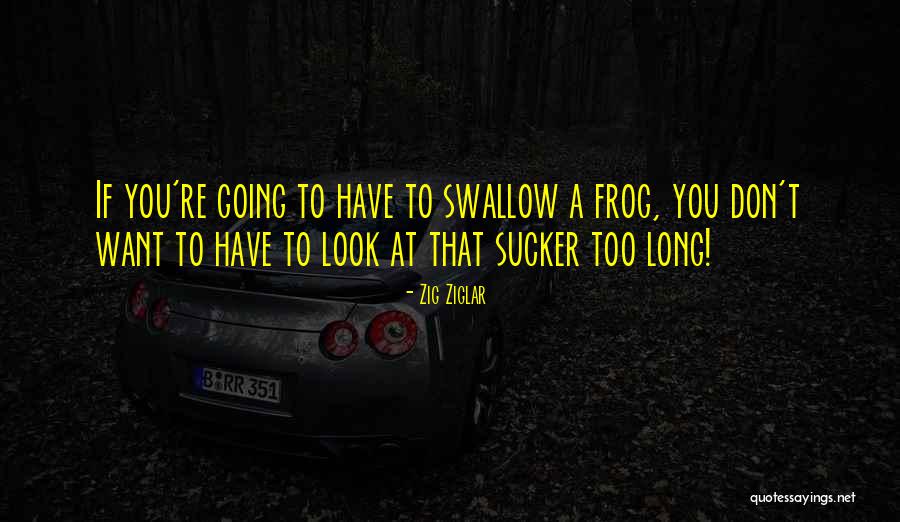 Excursus Quotes By Zig Ziglar Excursus Quotes By Zig Ziglar