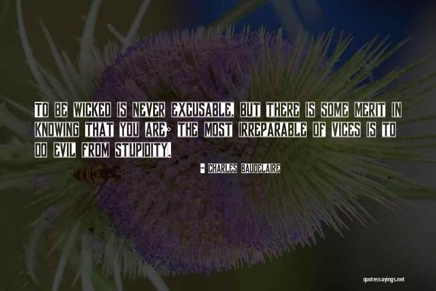 Excusable Quotes By Charles Baudelaire Excusable Quotes By Charles Baudelaire