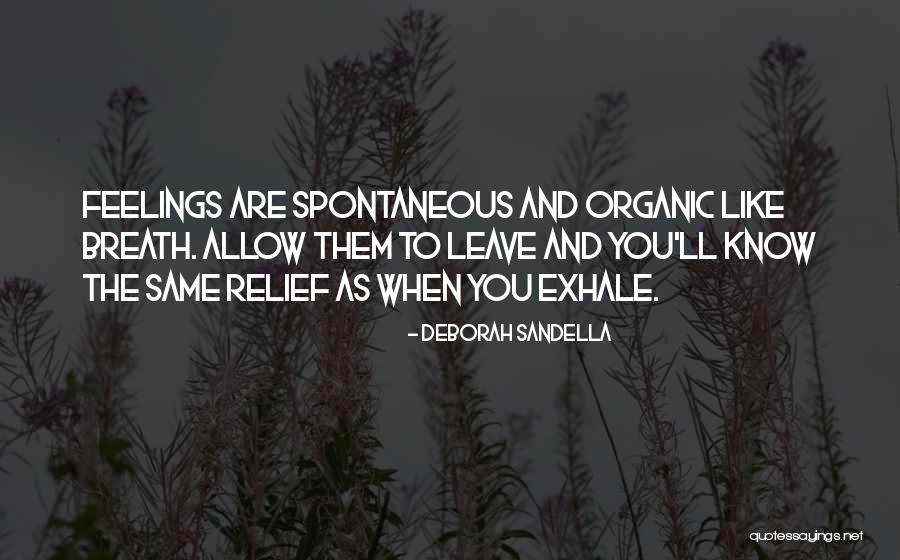 Excuse My French Quotes By Deborah Sandella Excuse My French Quotes By Deborah Sandella