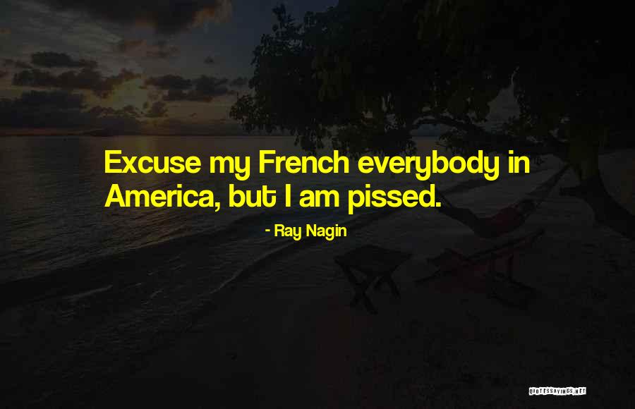 Excuse My French Quotes By Ray Nagin Excuse My French Quotes By Ray Nagin