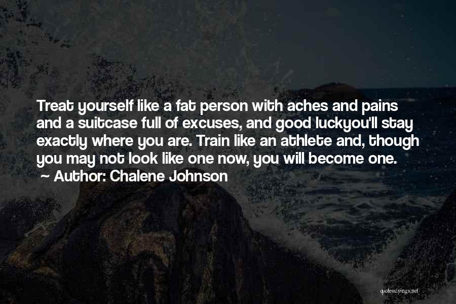 Excuses And Success Quotes By Chalene Johnson