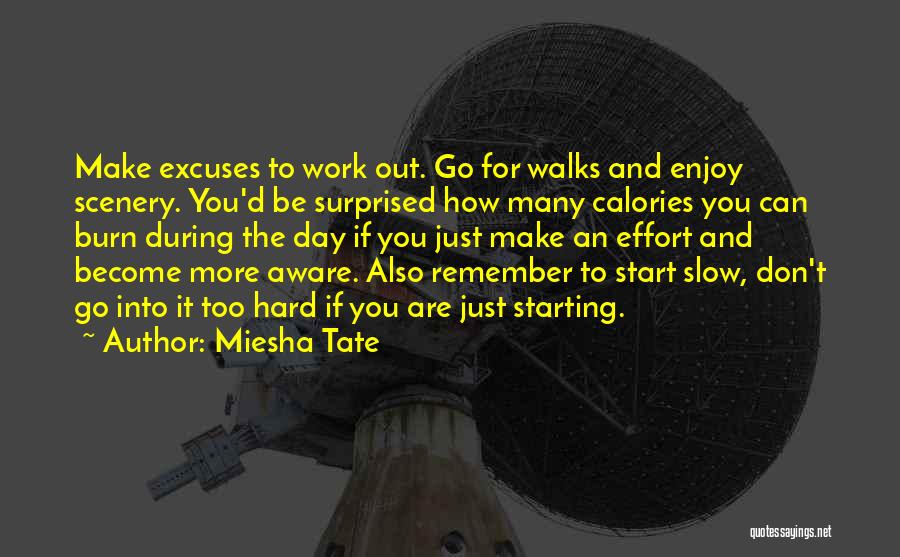 Excuses In Work Quotes By Miesha Tate