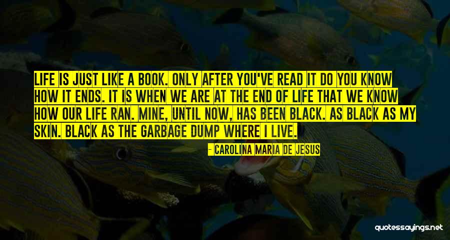 Excusing Conditions Quotes By Carolina Maria De Jesus Excusing Conditions Quotes By Carolina Maria De Jesus
