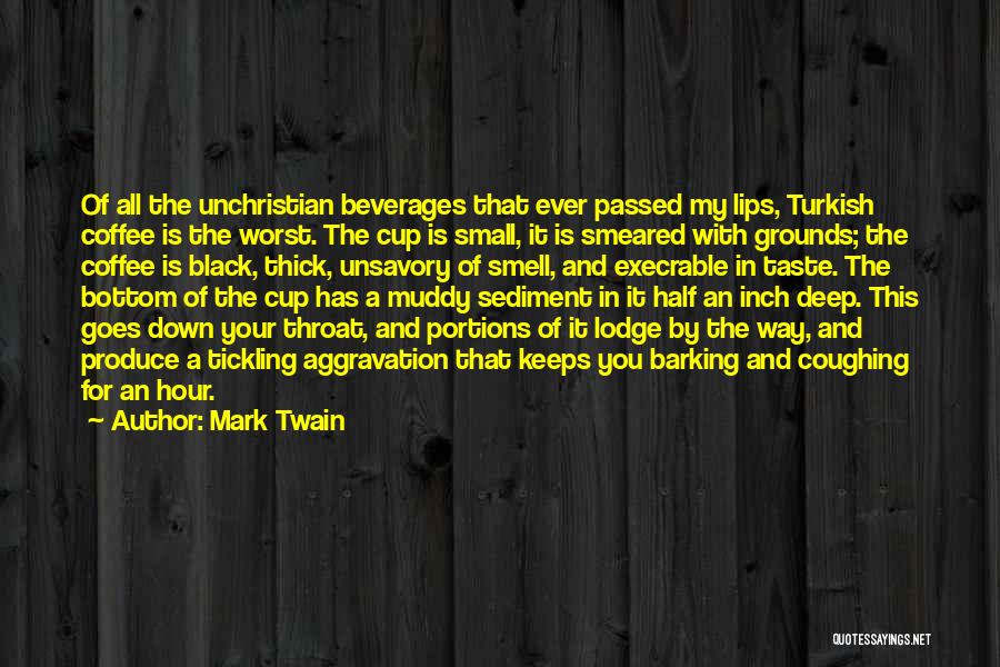 Execrable Quotes By Mark Twain