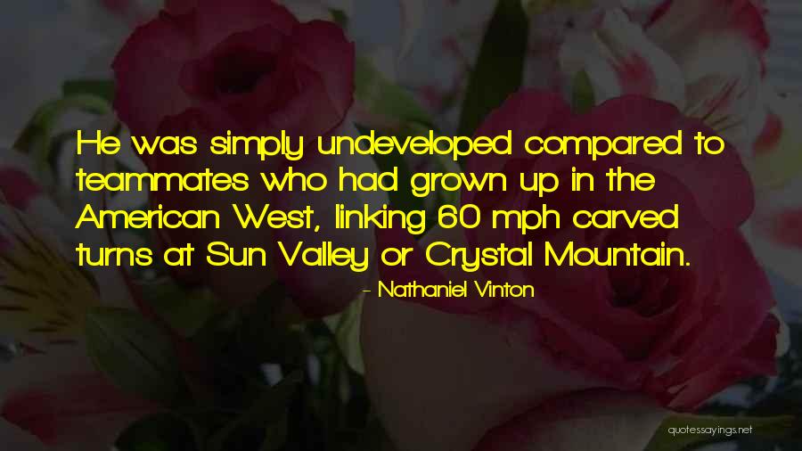 Execrating Pain Quotes By Nathaniel Vinton