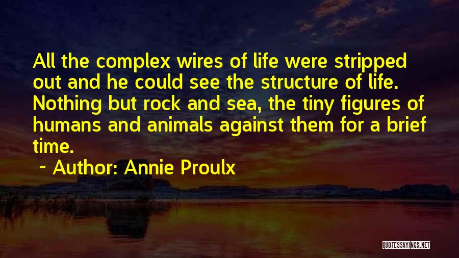 Execs Benefit Quotes By Annie Proulx