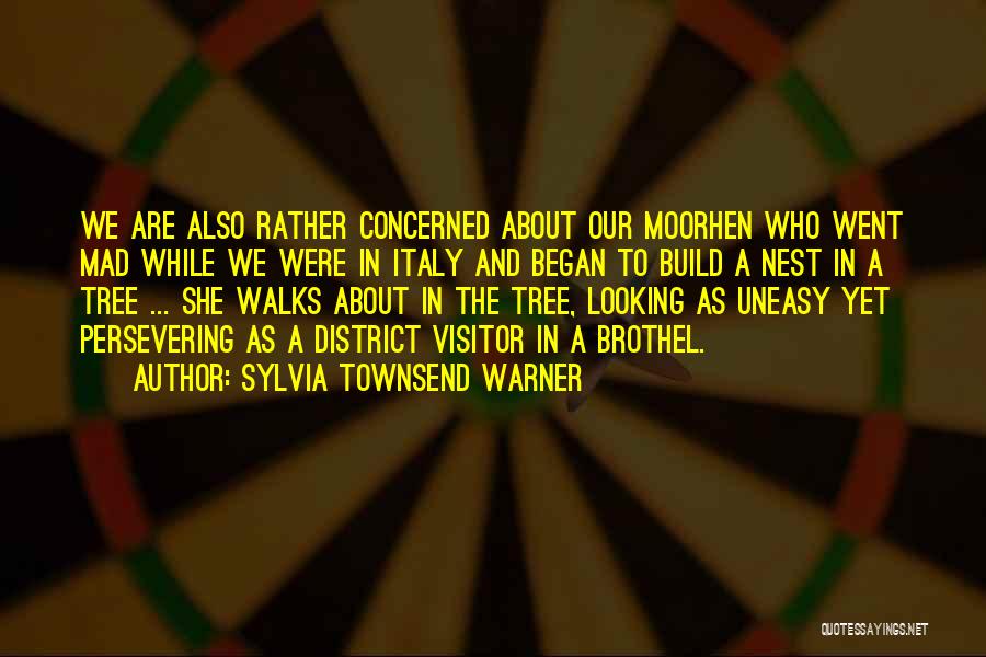 Executiion Underground Quotes By Sylvia Townsend Warner