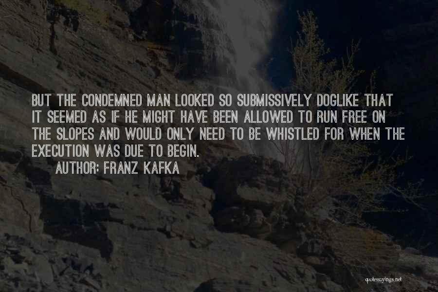 Execution Quotes By Franz Kafka