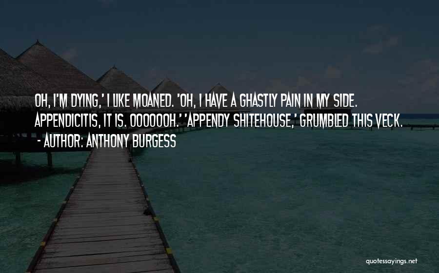 Executive Dress Quotes By Anthony Burgess