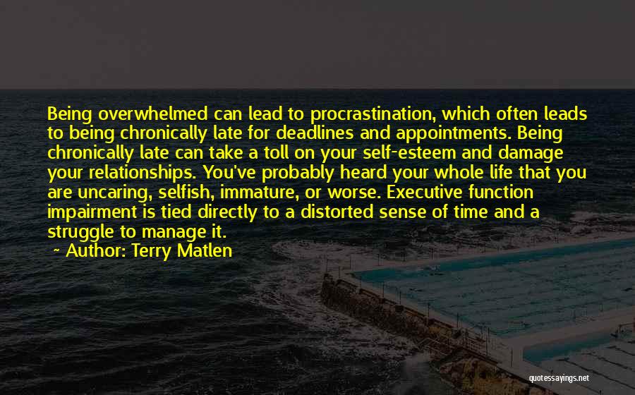 Executive Function Quotes By Terry Matlen