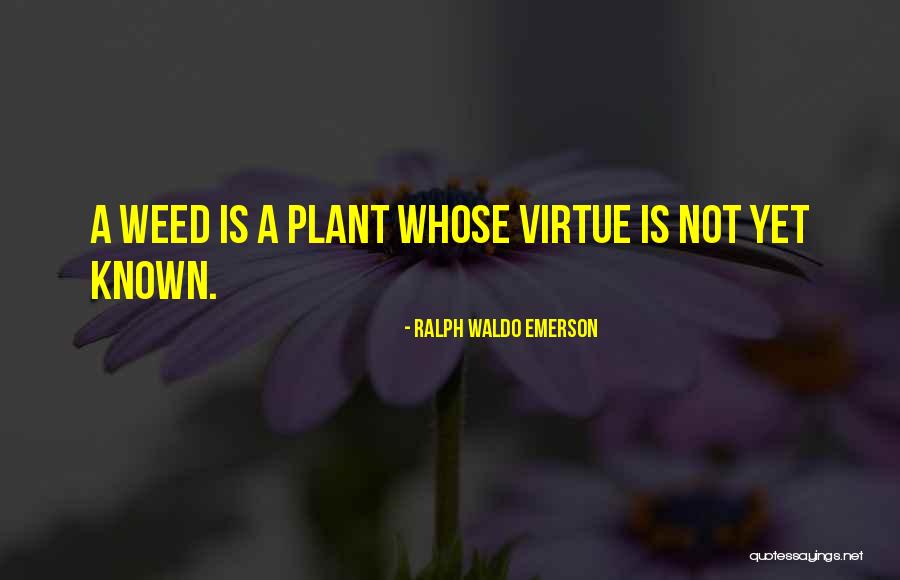 Exemplares De Atas Quotes By Ralph Waldo Emerson Exemplares De Atas Quotes By Ralph Waldo Emerson