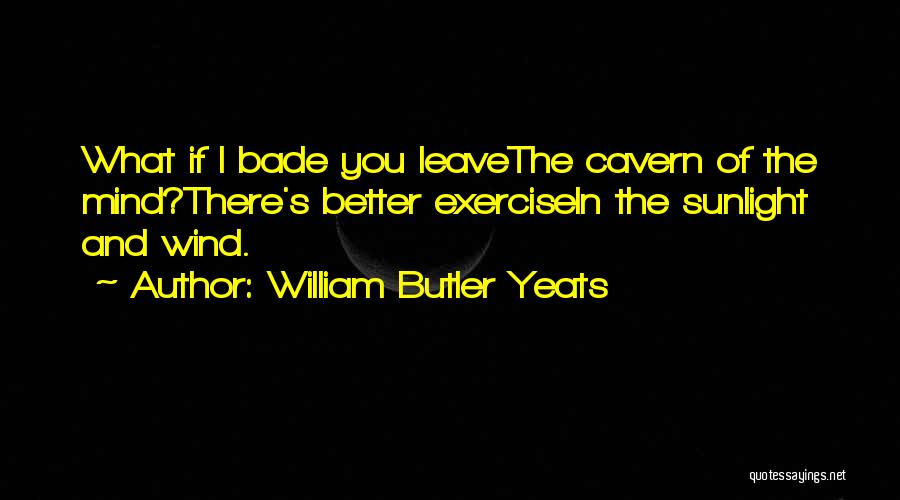 Exercise And The Mind Quotes By William Butler Yeats