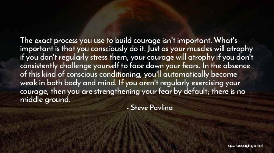 Exercise Body And Mind Quotes By Steve Pavlina Exercise Body And Mind Quotes By Steve Pavlina