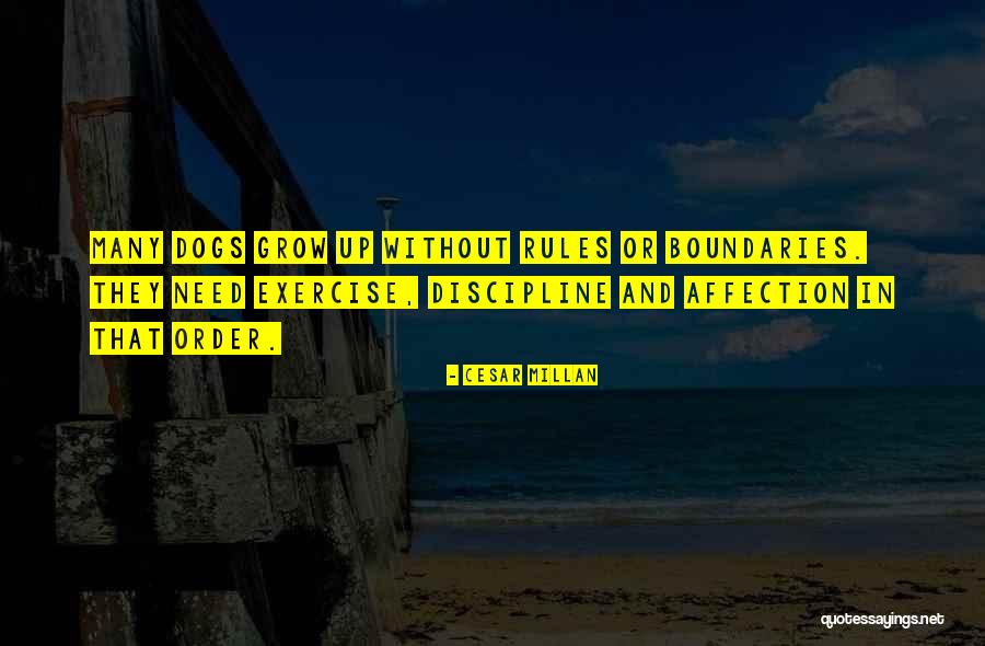 Exercise Order Quotes By Cesar Millan Exercise Order Quotes By Cesar Millan