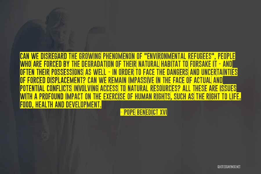Exercise Order Quotes By Pope Benedict XVI Exercise Order Quotes By Pope Benedict XVI