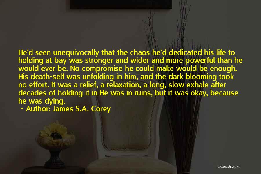 Exhale Quotes By James S.A. Corey