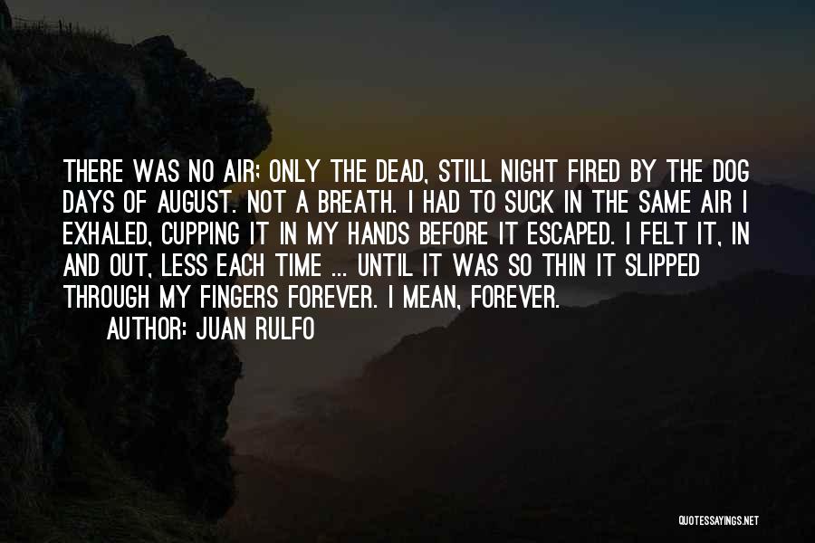Exhaled Quotes By Juan Rulfo