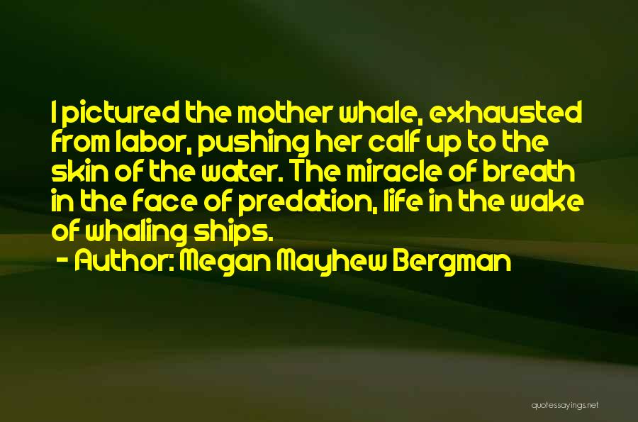 Exhausted Mother Quotes By Megan Mayhew Bergman