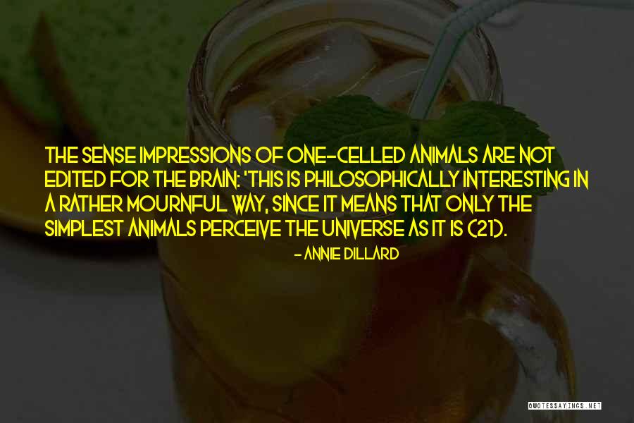 Exhibiting Thesaurus Quotes By Annie Dillard Exhibiting Thesaurus Quotes By Annie Dillard