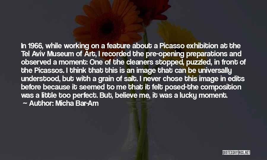 Exhibition Quotes By Micha Bar-Am