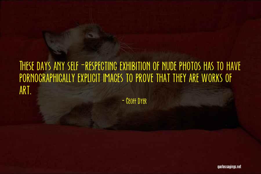 Exhibitions Quotes By Geoff Dyer