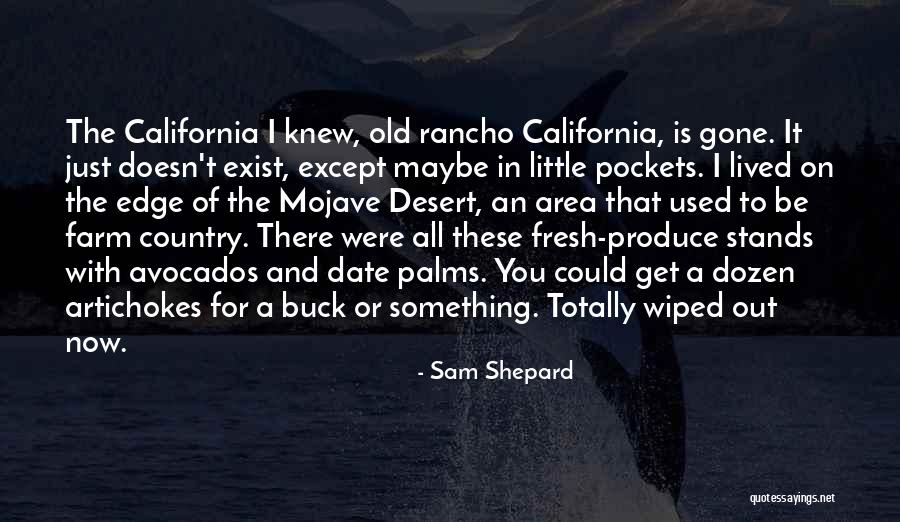 Exhibits Synonym Quotes By Sam Shepard