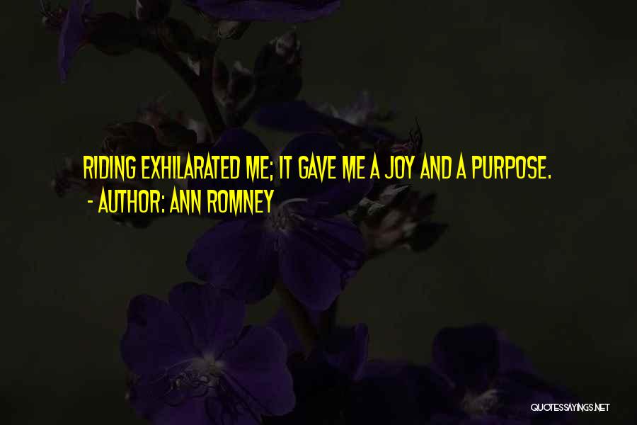 Exhilarated Quotes By Ann Romney